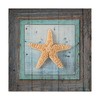 Trademark Fine Art Lightboxjournal 'Framed Gypsy Sea Star' Canvas Art, 14x14 ALI23626-C1414GG